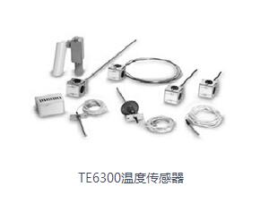 TE6300¶ȴ